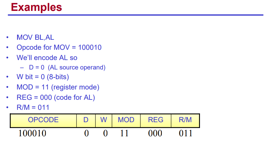 编程语言（Programming Language）、汇编语言（Assembly Language, ASM）、机器语言（Machine Language/Code）的区别和简介